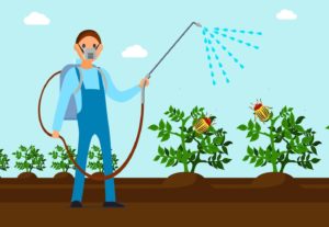Safety Spraying Pesticides