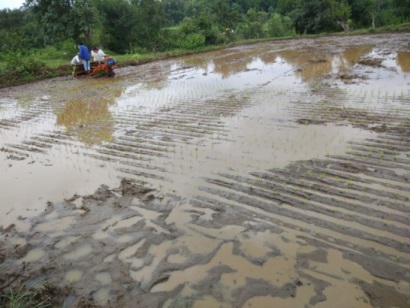 rice Transplanter
