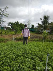 safe sparing pesticides