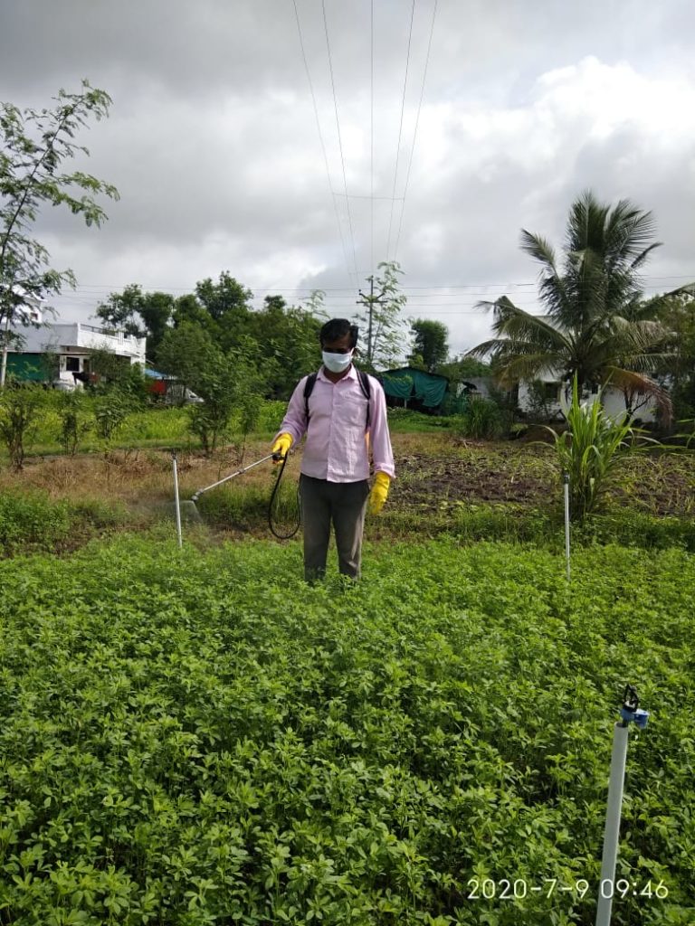 safe sparing pesticides