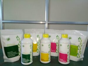 Bio-fertilizers and Growth regulators