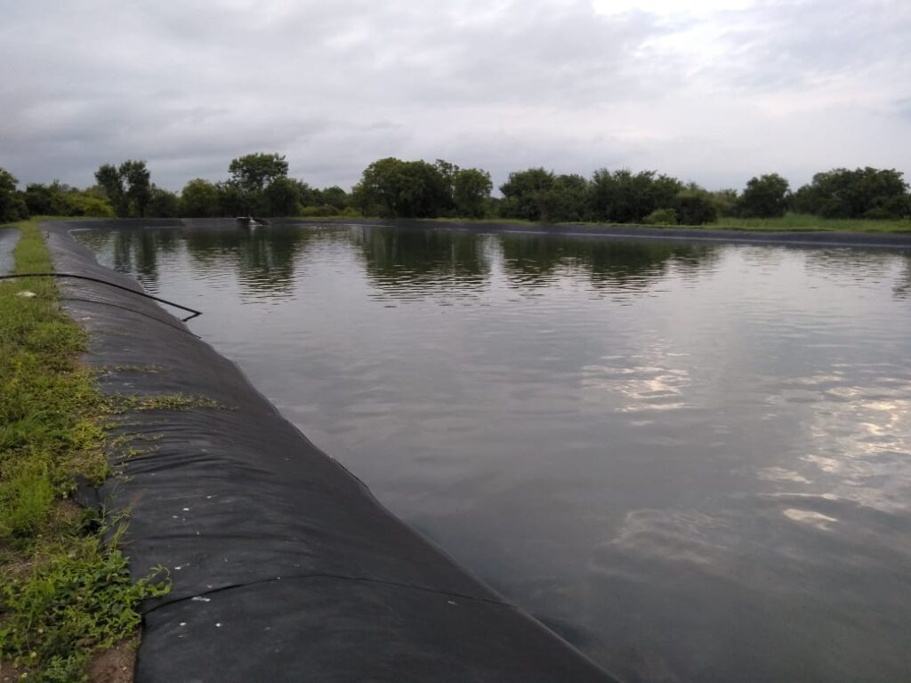 fish farming
