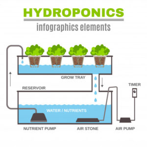 hydroponic