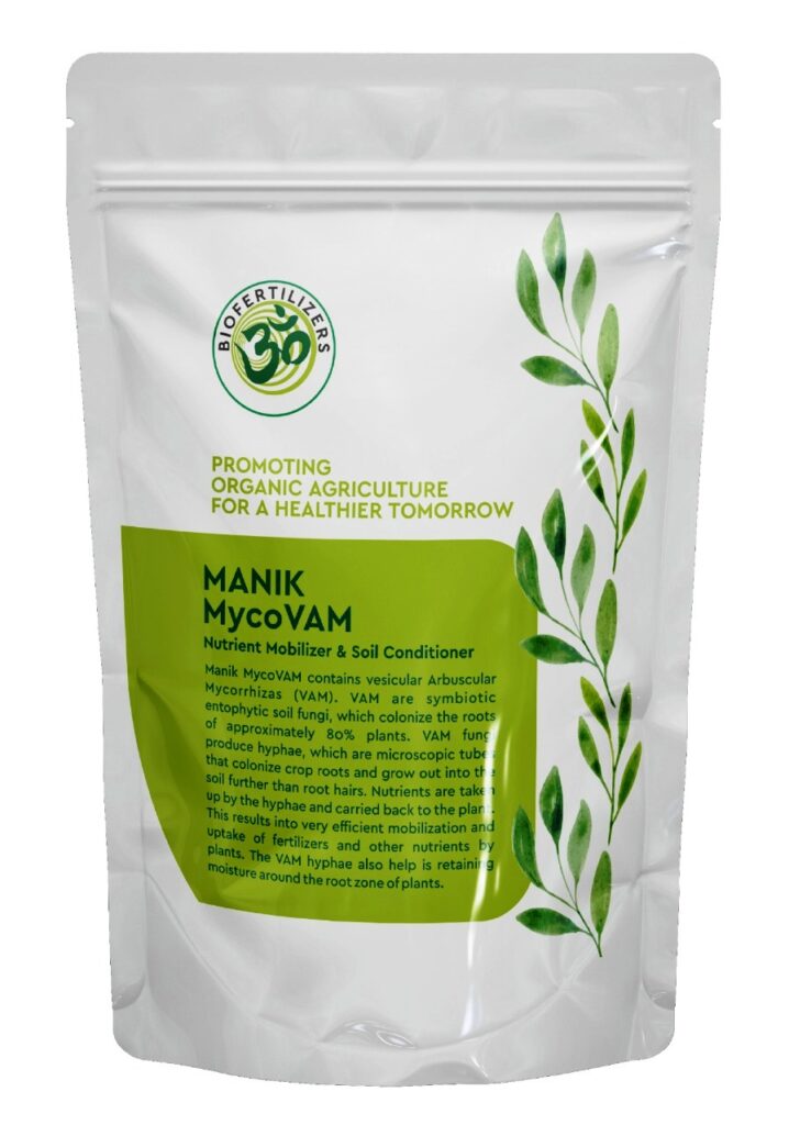 मायकोरायझा-VAM