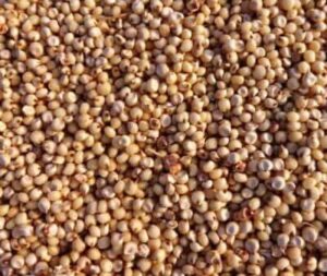 Health Benefits of Jowar in marathi