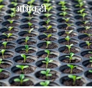 अभिवृद्धी म्हणजे काय