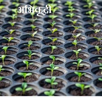 अभिवृद्धी म्हणजे काय