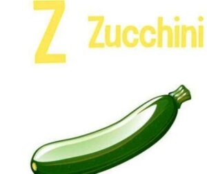 Zucchini information in Marathi