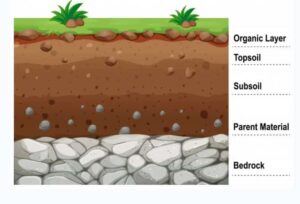 Importance of soil in agriculture Marathi