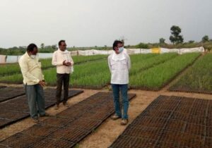 Importance of soil in agriculture Marathi