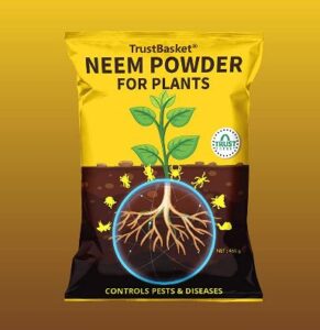 Uses of Neem for crop protection and Pest management