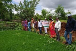 Agriculture tourism business information in Marathi