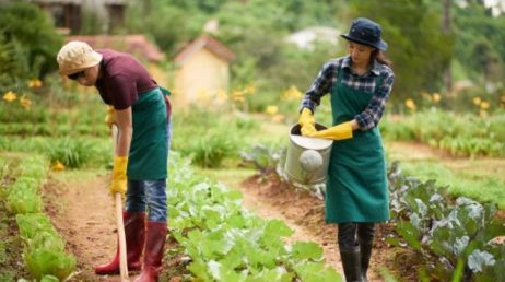 Agriculture tourism business information in Marathi