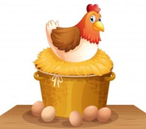 What Came First Chicken or Egg in Marathi