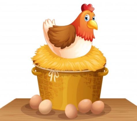 What Came First Chicken or Egg in Marathi