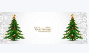 Why we say 'Merry' Christmas and not 'Happy' Christmas