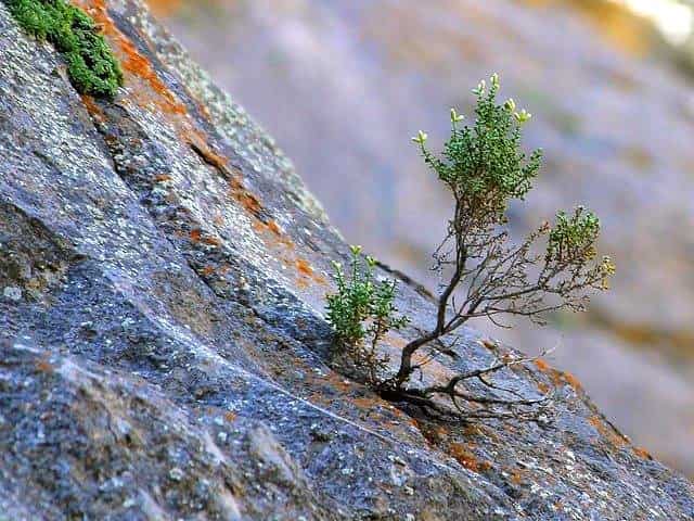 Toughest Exams in India