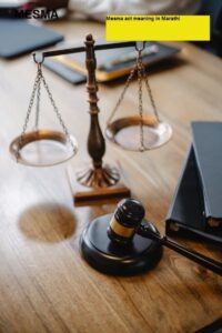 मेस्मा कायदा म्हणजे काय Mesma act meaning in Marathi