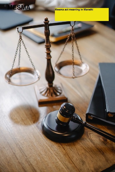 मेस्मा कायदा म्हणजे काय Mesma act meaning in Marathi