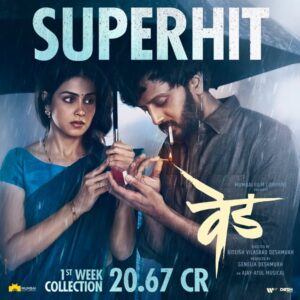 वेड काय आहेved meaning in marathi