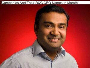 Companies And Their २०२३ CEO Names In Marathi