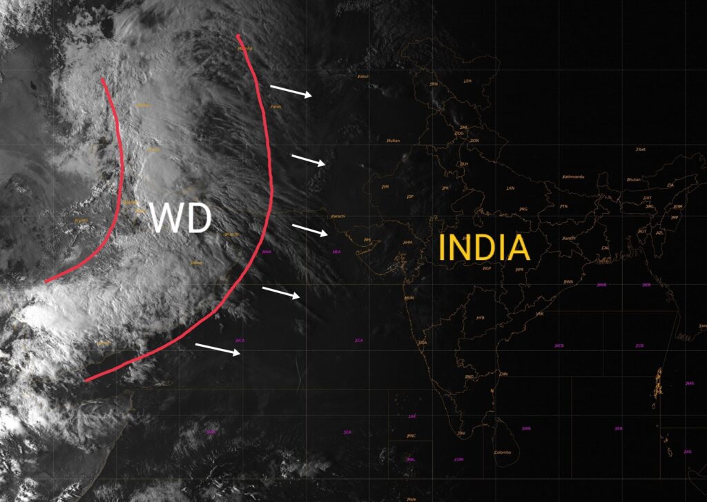 Maharashtra Rain Update In Marathi