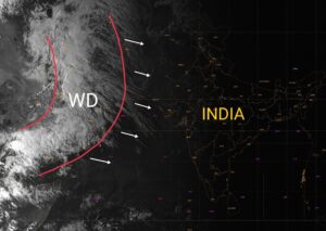 Maharashtra Rain Update In Marathi