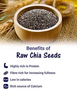 Chia seeds meaning in Marathi