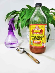 Vinegar meaning in Marathi