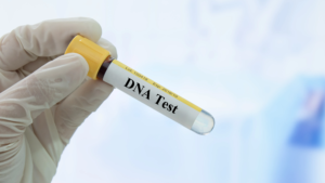 DNA test meaning in Marathi