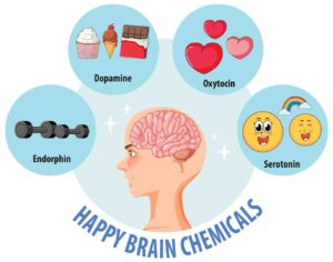4 Brain Happy Chemicals